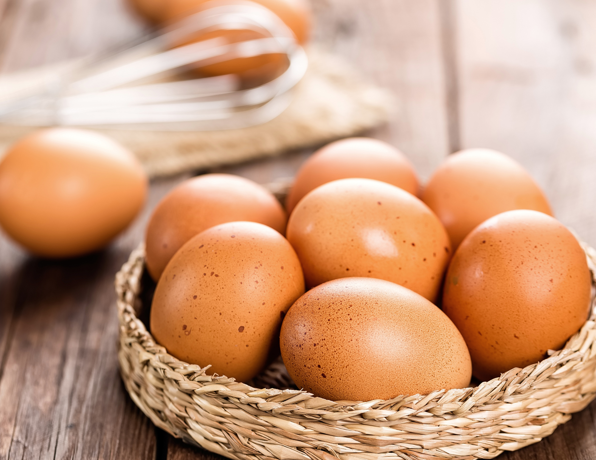 ❄️冬のごちそう、豊岡たまごで。