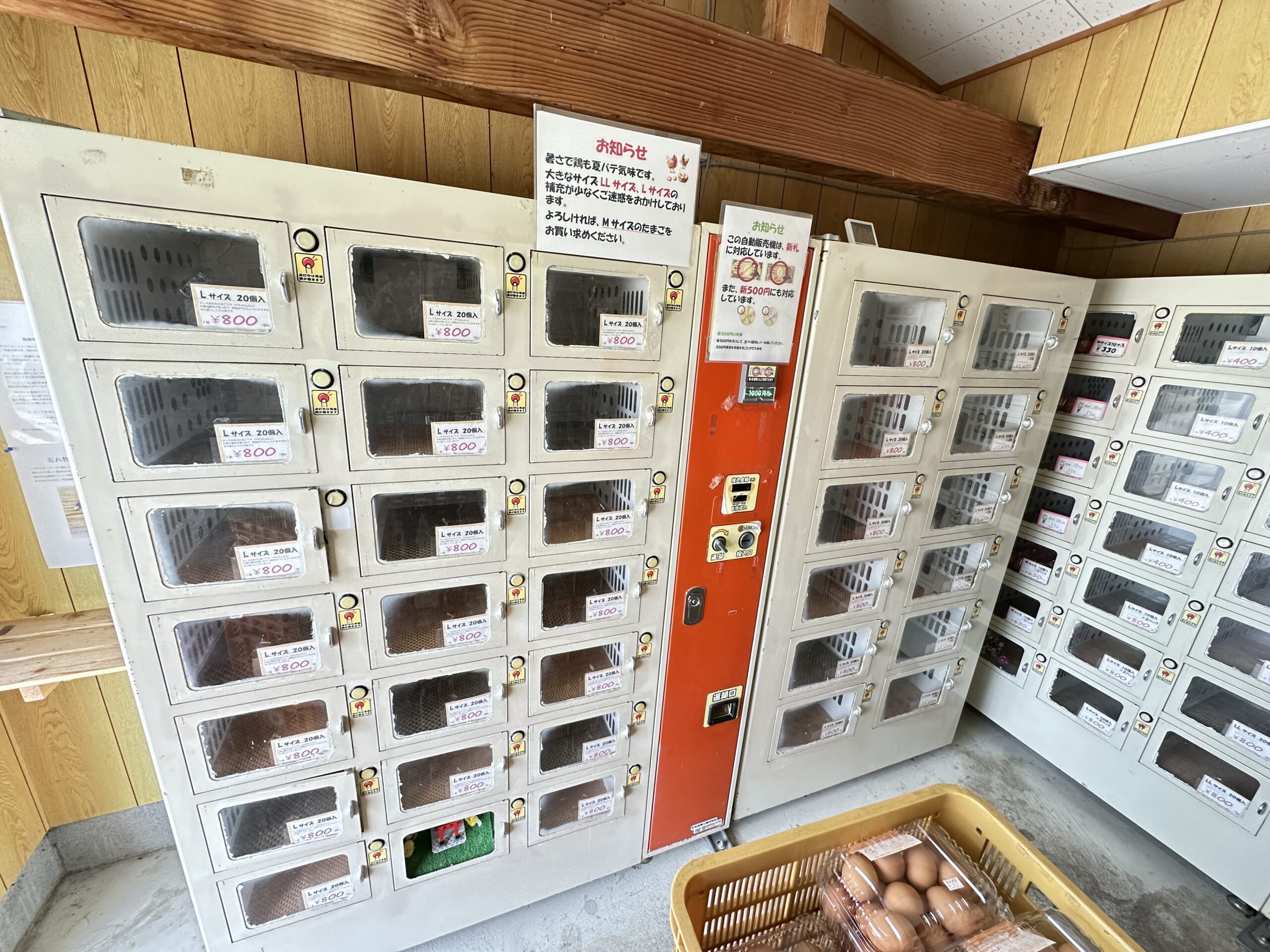 🥚卵自販機、きょうも元気に稼働中！