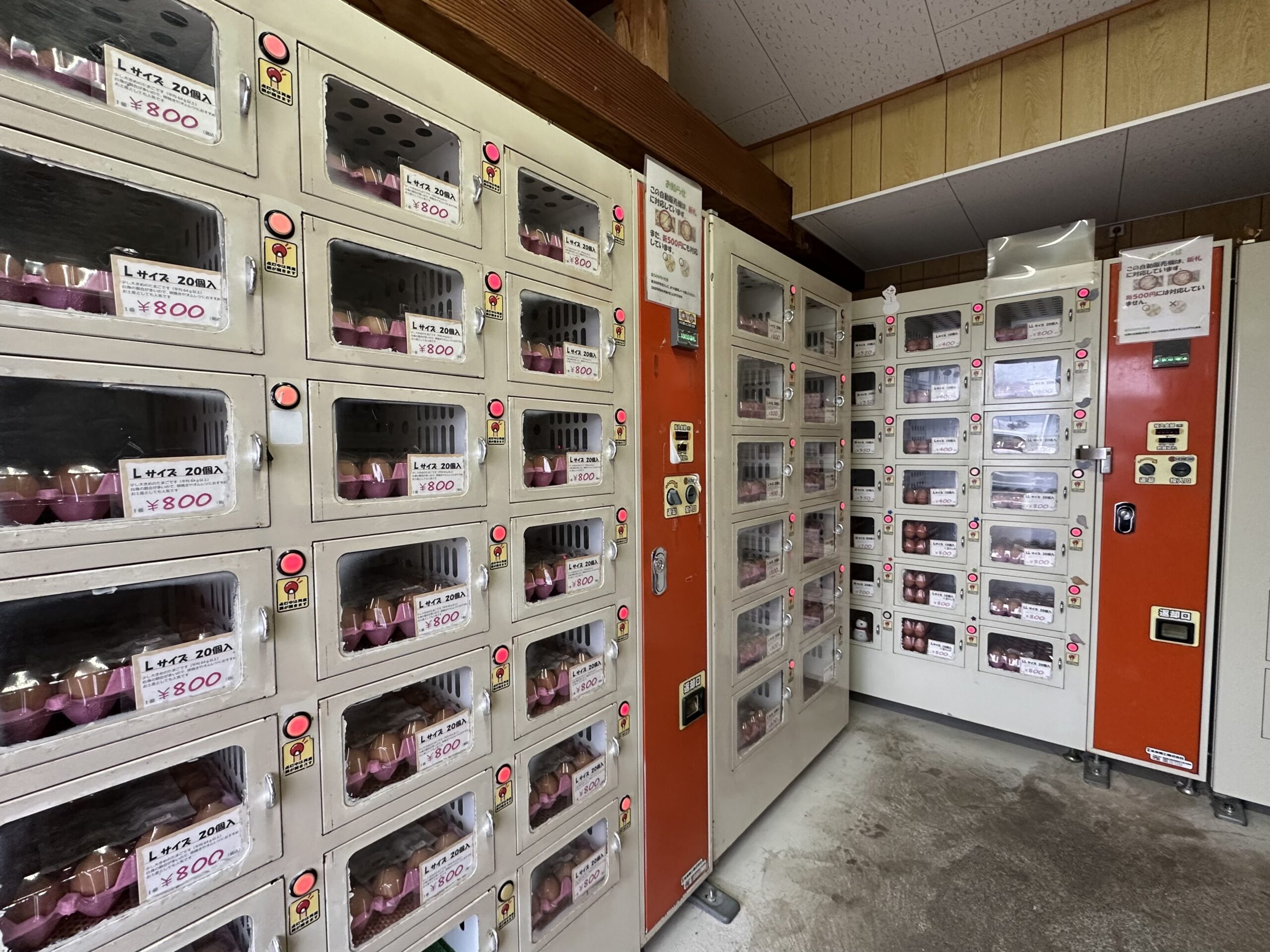 🥚卵自販機、きょうも元気に稼働中！