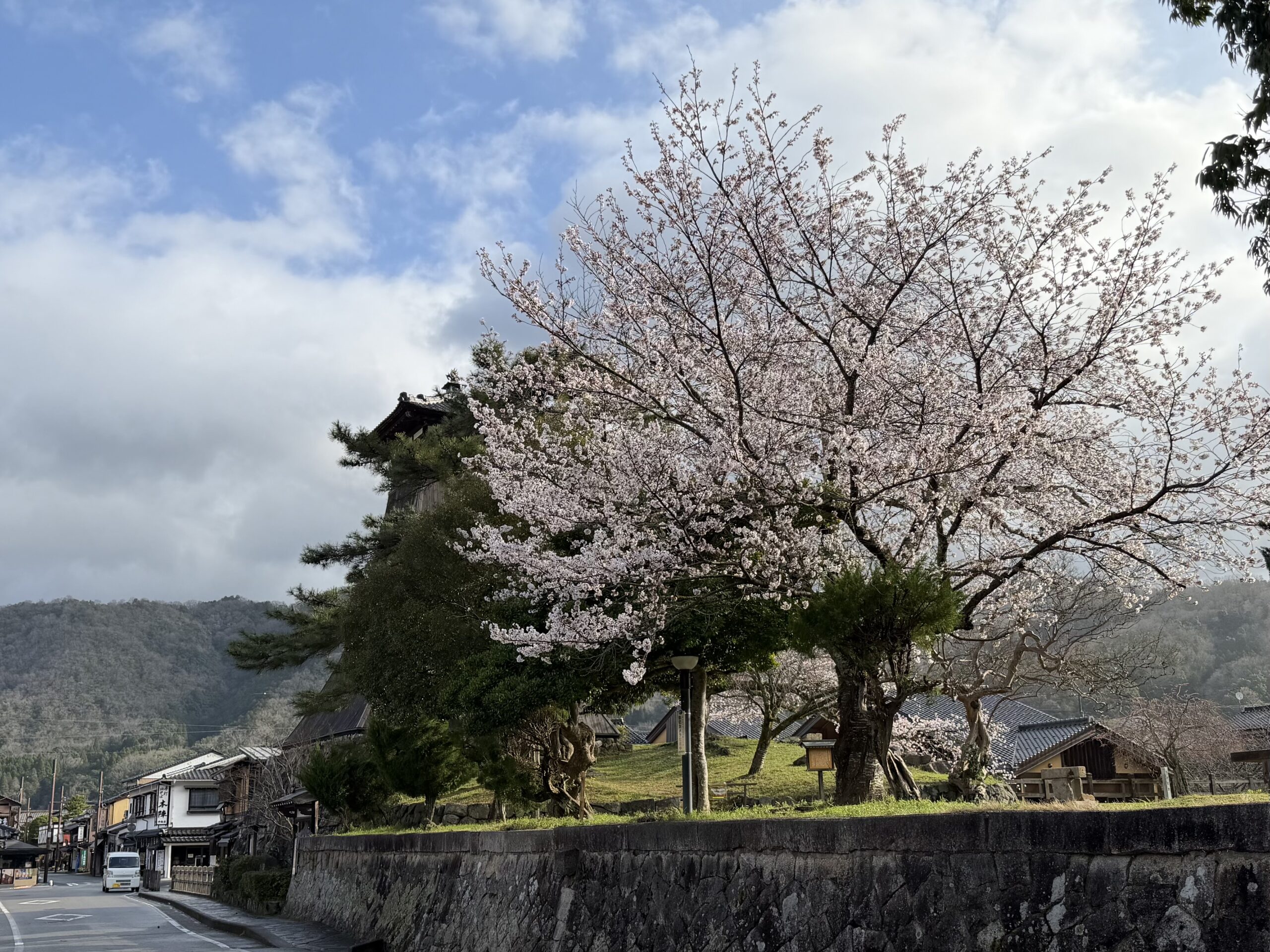自然がくれた春色の景色